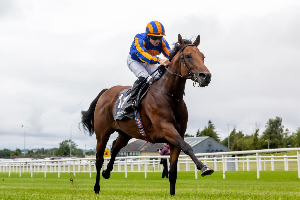 The Lion in Winter: Ballydoyle’s unbeaten €375,000 purchase, currently favourite for next year’s Guineas and Derby, is expected to line up for the Gof's Million at the Curragh on Saturday. Photograph: Morgan Treacy/Inpho