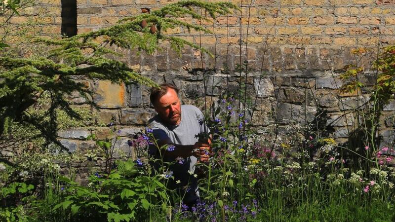 Oliver Schurmann in the Designer’s Back Yard, one of his show-stopping gardens at Bloom last year. Photograph: Nick Bradshaw
