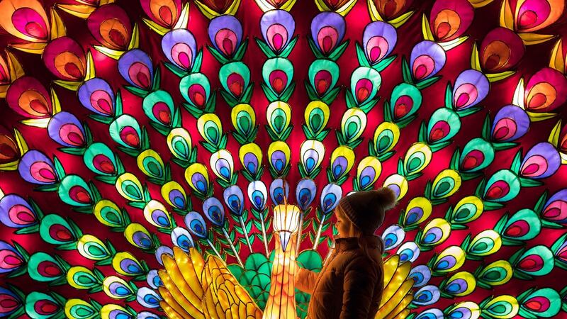 Beth Healy enjoys Wild Lights at Dublin Zoo. Photograph: Patrick Bolger