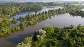 Forests ‘make minimal difference’ in reducing impact of major floods – study