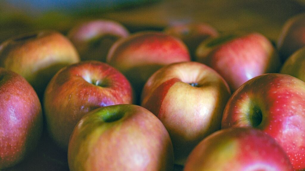 ‘Come get your apples! she calls. Chernobyl apples!’