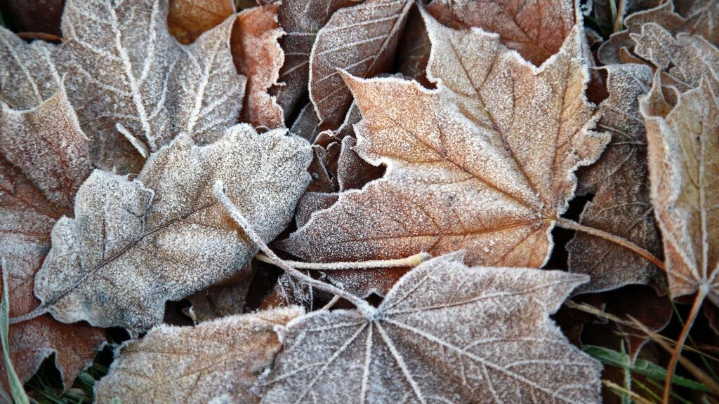 The forecast for the bank holiday weekend remains uncertain. Photograph: Nick Bradshaw/The Irish Times