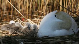 Five things you need to know today