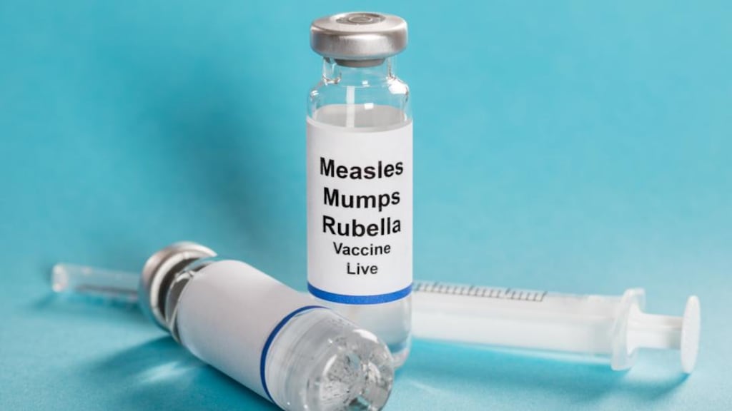 Anyone who thinks they may have the illness is being advised to stay at home and to contact their GP for advice. Measles is a highly contagious disease that is spread easily. Photograph: iStock