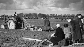 The Times We Lived In – Ladies who lunch in the short grass