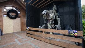 ‘Confusion and fear’ followed Tayto Park stairwell collapse