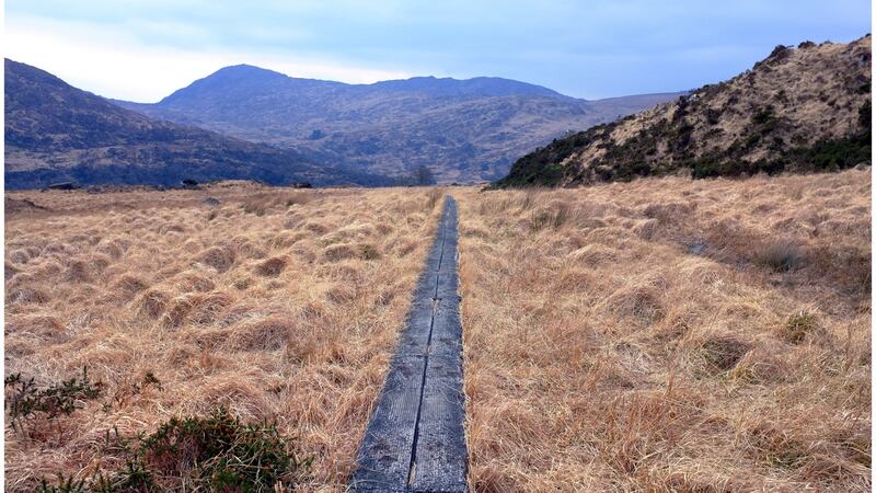 Killarney National Park. Photograph: Bryan O’Brien