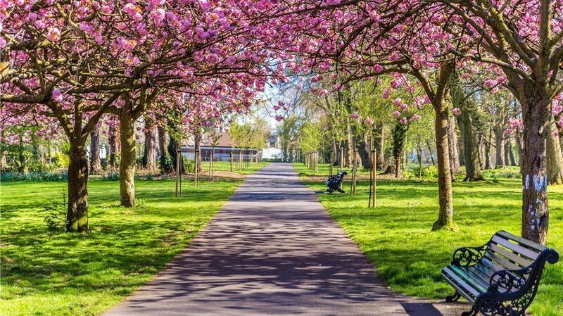 Number 10 Brendan Road is located next to Herbert Park