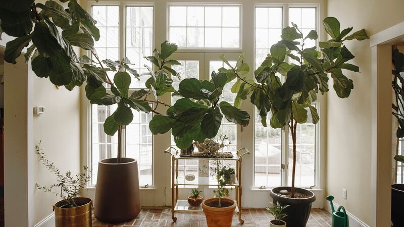 Inside the  circa-1760s farmhouse being restored by  Knight,  in Essex, Massachusetts. Photograph:  Tony Luong/New York Times