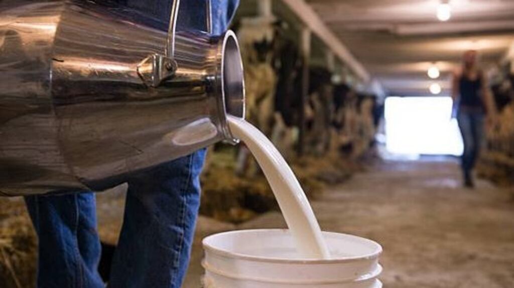 Glanbia, Lakelands, Aurivo and Dale Farm have each expressed an interest in acquiring LacPatrick’s 600m litre milk pool. Photograph: Getty Images