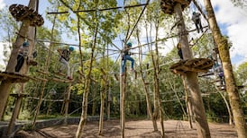 Cat laughs: Family-friendly breaks in Kilkenny