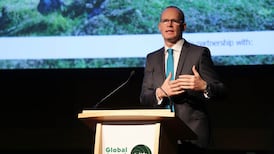 Mali attack not to affect Irish troop deployment – Coveney