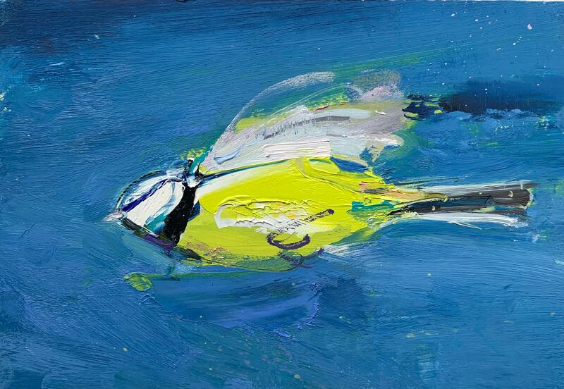 Gabhann Dunne, Blue tit, oil on gesso panel, at the Molesworth Gallery