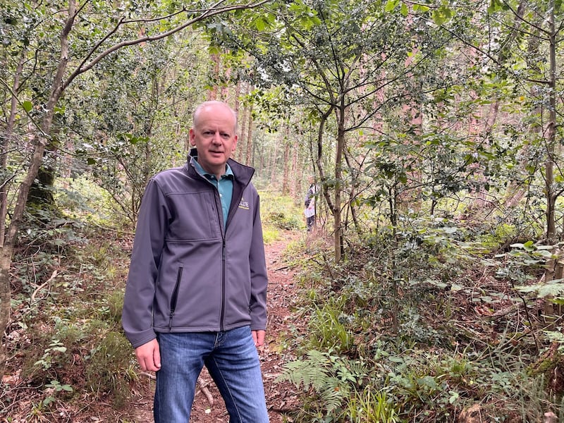 Coillte managing director Mark Carlin at Glenart forest in Co Wicklow, where the estate is managed primarily for nature. Photograph: Kevin O'Sullivan