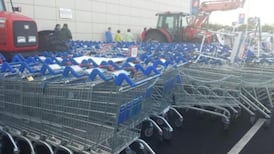 Oversupply is main reason for fall in beef prices, says  Coveney