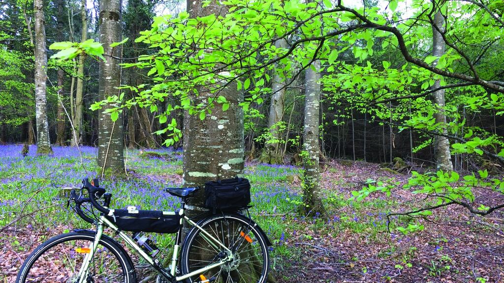The Bluebell Wood at Emo Court, Co Laois. Photograph from Cycling South Leinster: Great Road Routes by Turlough O’Brien