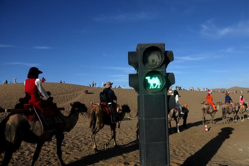 Tourists on camels pass a camel traffic light at the Mingsha Mountain and Yueya Spring scenic area in Dunhuang, China. Photograph: Zhang Xiaoliang/VCG via Getty