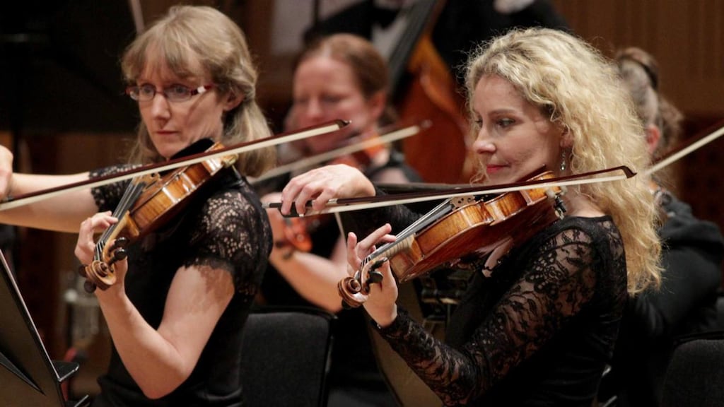 Members of the RTÉ Concert Orchestra. Photograph: Mark Stedman