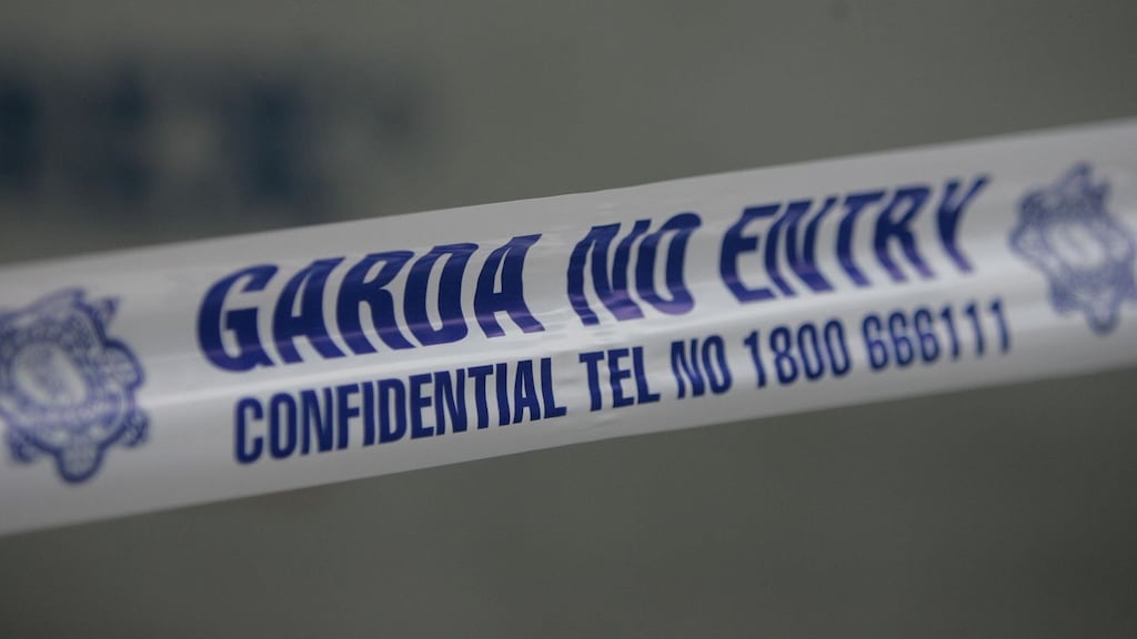 A woman
toda
y presented herself at Ennis Garda Station to tell
gardaí
that
she drove over a body lying on a road in a residential area of Ennis on Wednesday night.