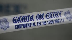 Woman presents herself  over Ennis hit and run