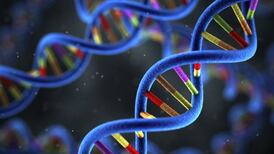 Health officials warned Harris ahead of meeting with DNA collection firm