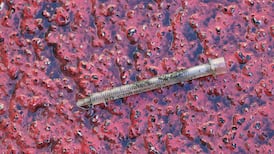 Temple Bar group seeks back lane closures to stop drug dealing