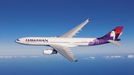 Boy survives flight over Pacific in airplane wheel-well