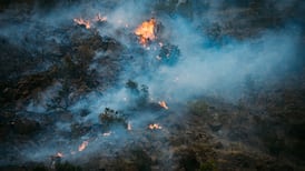 World needs to better prepare for climate disruption – United Nations