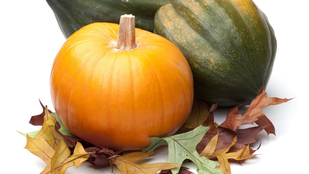 ‘Squash’ is a version of a Narragansett Native American word, askutasquash, which translates to ‘eaten raw or uncooked’. Photograph: iStock