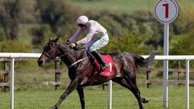 Benie Des Dieux secures French Champion Hurdle for Willie Mullins