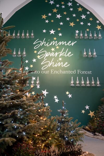 The Enchanted Forest, is a sustainable fund-raising initiative, a partnership between Barretstown Kids Camp and the Tree Council of Ireland. For a €75 donation, one of the trees can be sponsored in the name of the recipient.