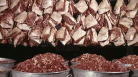 Meat is madness: why it leads to global warming and obesity