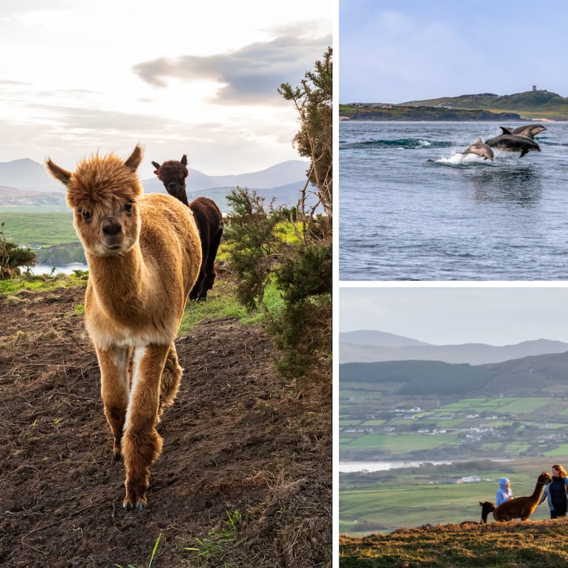 My first Inishowen Peninsula trip raises a big question: why would anybody live in a city?
