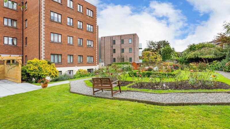 The communal gardens