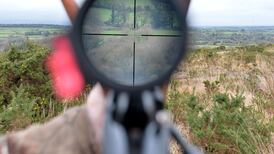 ‘Open season’ for game hunting begins next week as plans to protect species in decline delayed