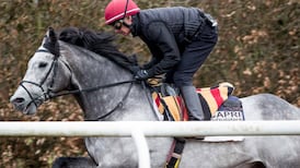 Capri in major challenge to become second Irish-trained winner of Japan Cup