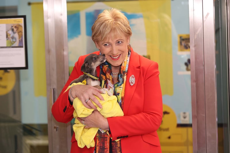 Heather Humphreys visiting the headquarters of the Dogs Trust charity during her time as minister for rural and community development.
Photograph: Julien Behal
