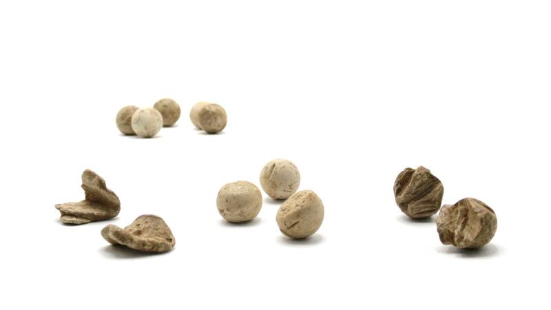Musket balls recently found on Vinegar Hill