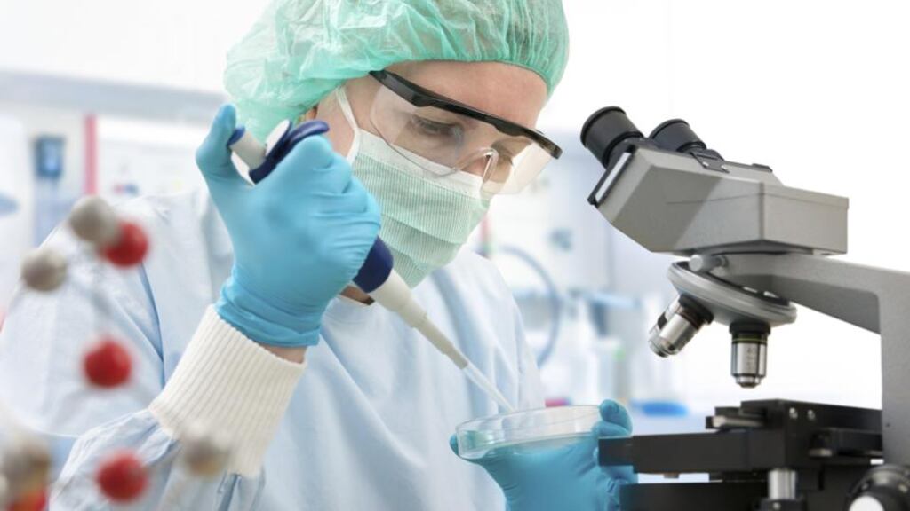 New research suggests that with Alzheimer’s disease certain immune cells begin abnormally to consume an important nutrient in the brain called arginine