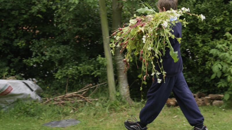 It takes discipline and a certain dedication to make the perfect compost heap. Photograph: Richard Johnston