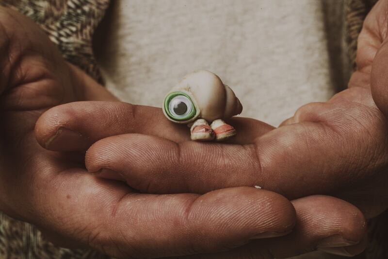 Donald Clarke and Tara Brady compile the 50 best films of 2023, including Marcel the Shell with Shoes On (pictured)