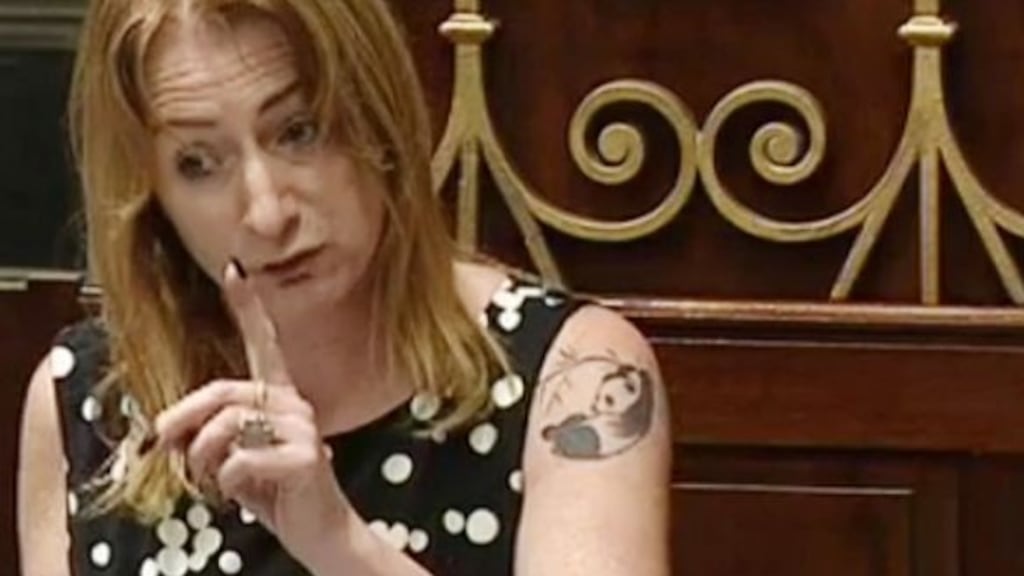 Independents4Change TD Clare Daly told the Dáil of the ‘crazy conditions’ members of the Defence Forces had to work under.