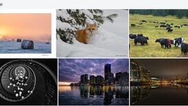 Save your Flickr photos before they are deleted