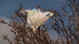 Levy sees major fall-off in NI plastic bag use