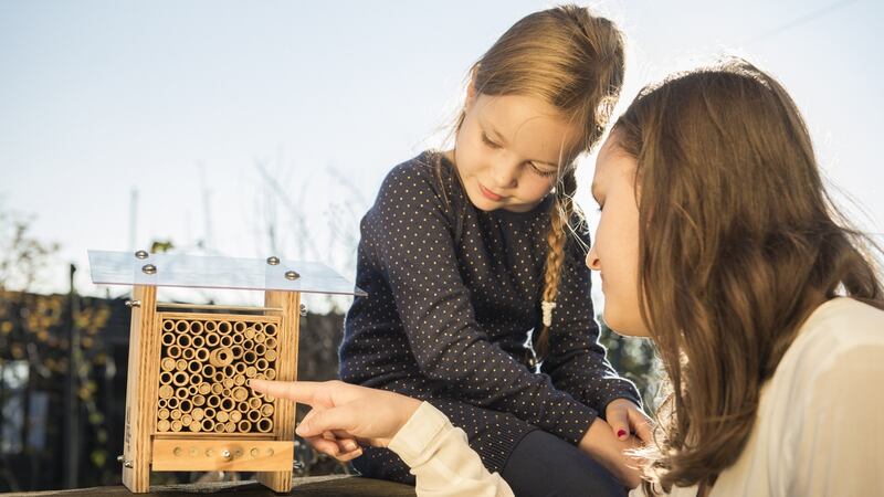 By setting up a mason bee nest on a balcony or in a garden, any person can become a breeder and provide bees with a place to reproduce.