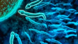 New male birth control passes first test