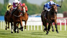 Mustashry enjoys career high with Lockinge Stakes success at Newbury