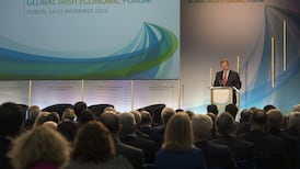 Emigrants urged to bring their skills back home