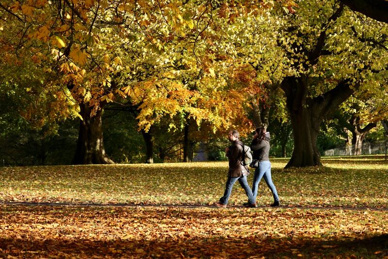 Warm temperatures are the main reason why trees have taken on autumnal colours later this year. Photograph: Alan Betson
