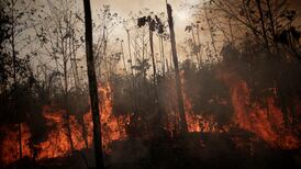 Amazon fires: Brazilian states ask for military help amid record blazes